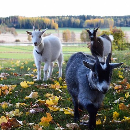 Countryside Villa Skogsbacka Raseborg Esterno foto