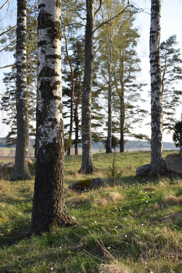 Countryside Villa Skogsbacka Raseborg Esterno foto
