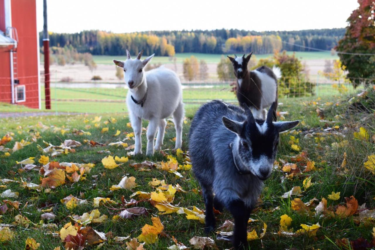 Countryside Villa Skogsbacka Raseborg Esterno foto